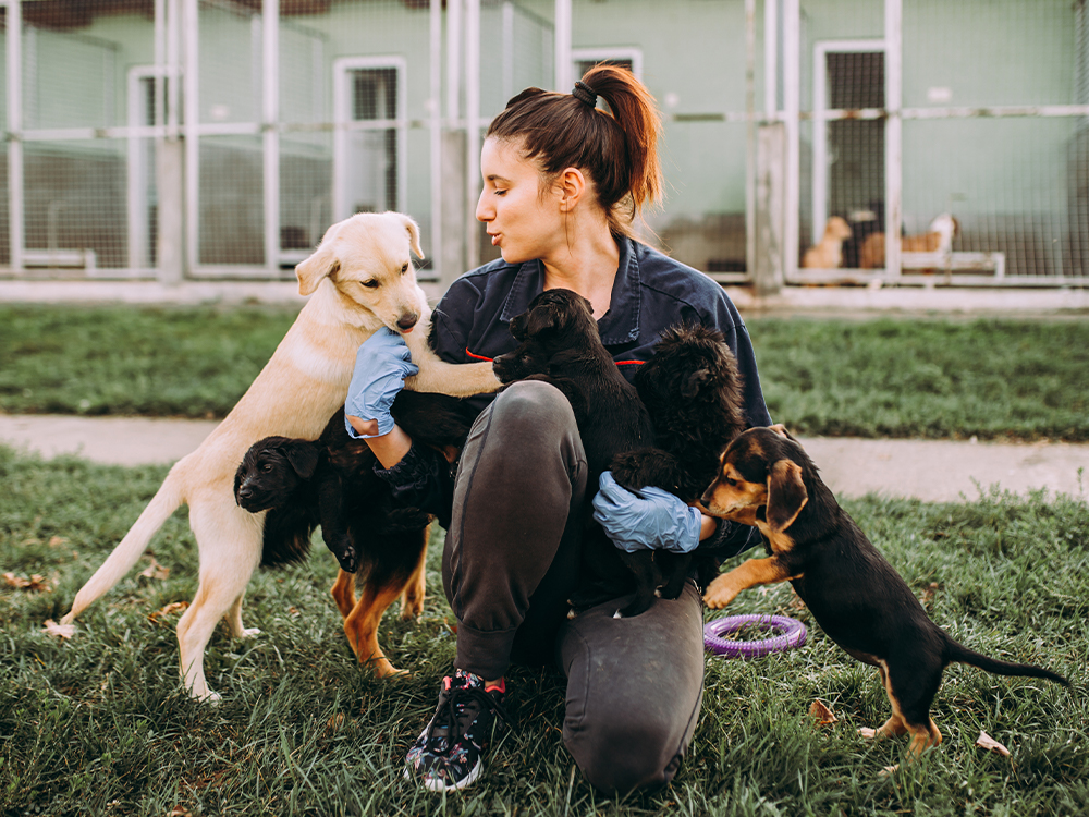 Lady with beautiful dogs at shelter